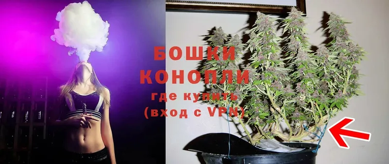 площадка какой сайт  ссылка на мегу маркетплейс  Канабис White Widow  Красноярск  купить закладку 